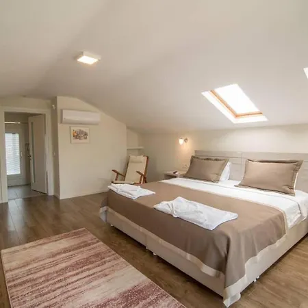 Crescent Twins- Blue 빌라