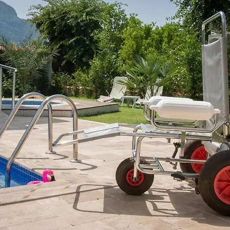 Crescent Twins- Blue Dalyan